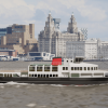 Royal Daffodil (2026) artist’s impression of new vessel (Image by kind permission Artemis Media Profile Ltd and Cammell Laird).